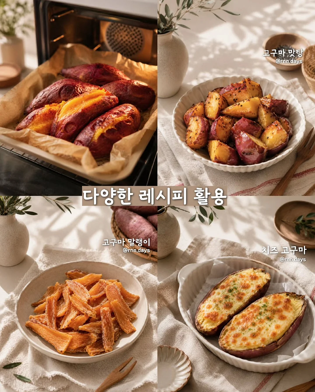 데일리백 5