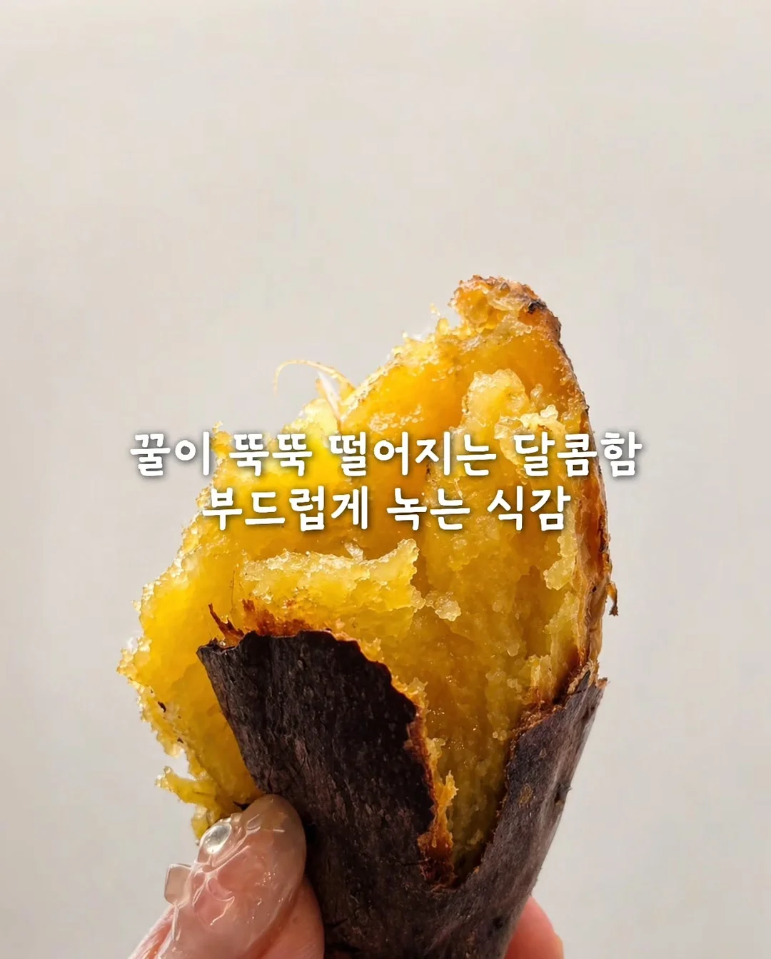 데일리백 6