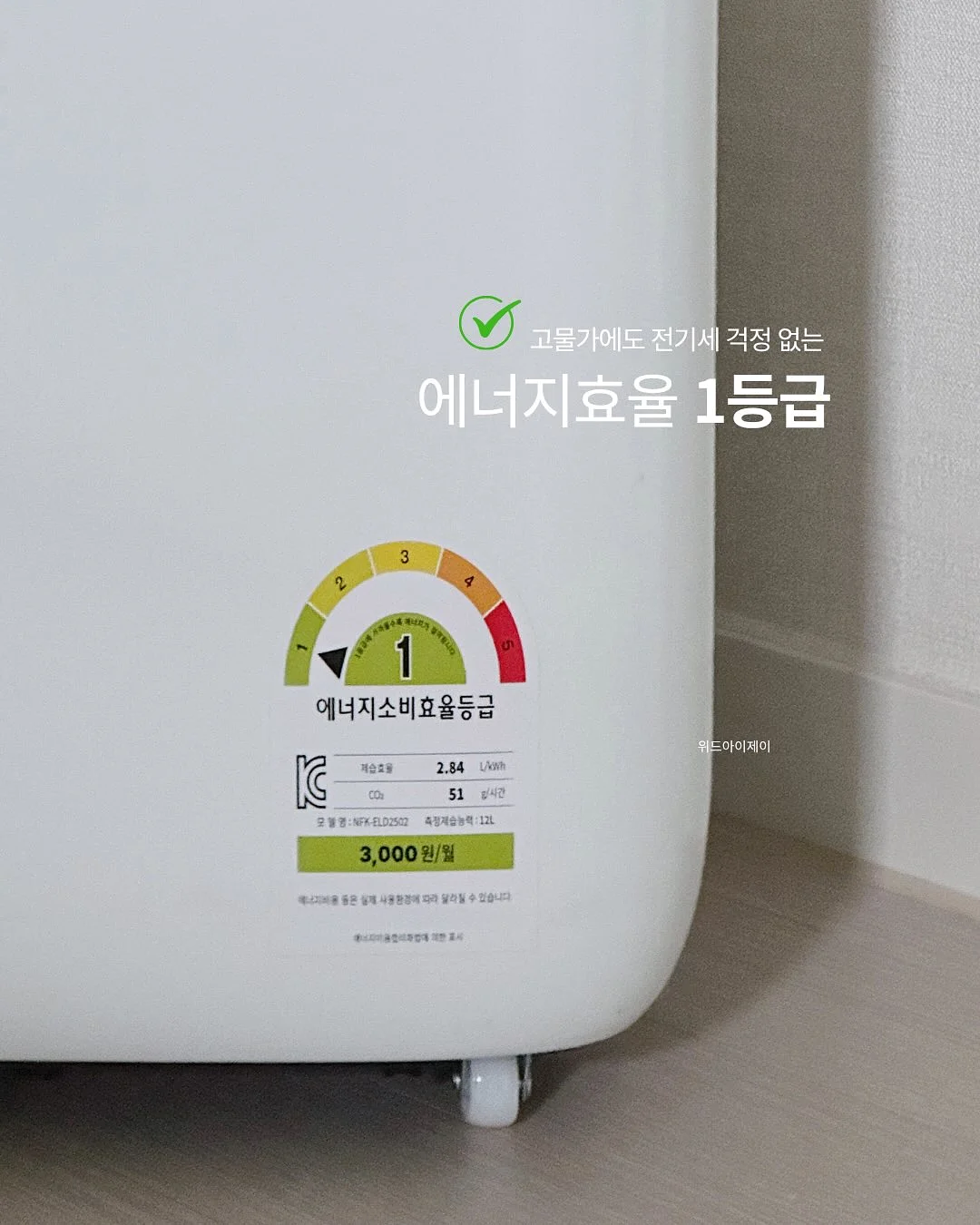 드래곤마스터 시리즈 12