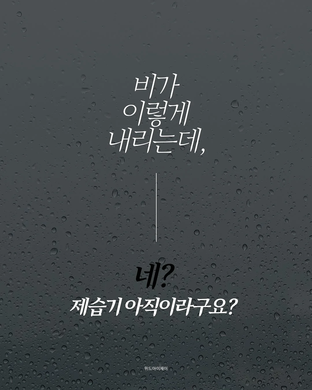 드래곤마스터 시리즈 15