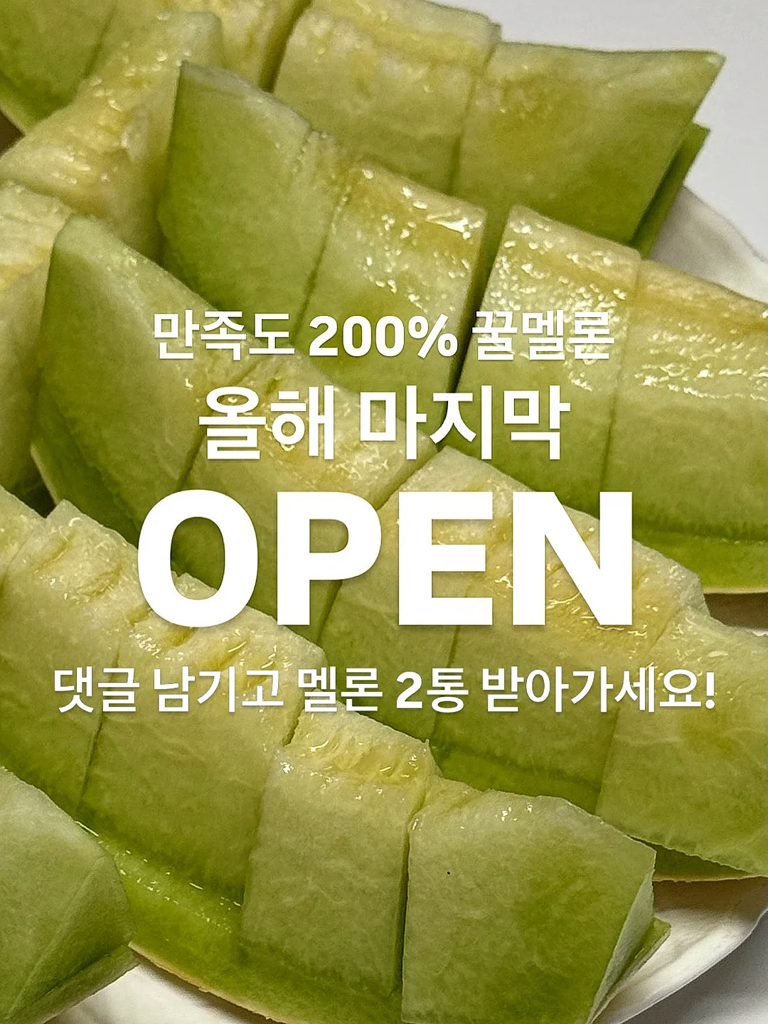 개기름 파우더 1
