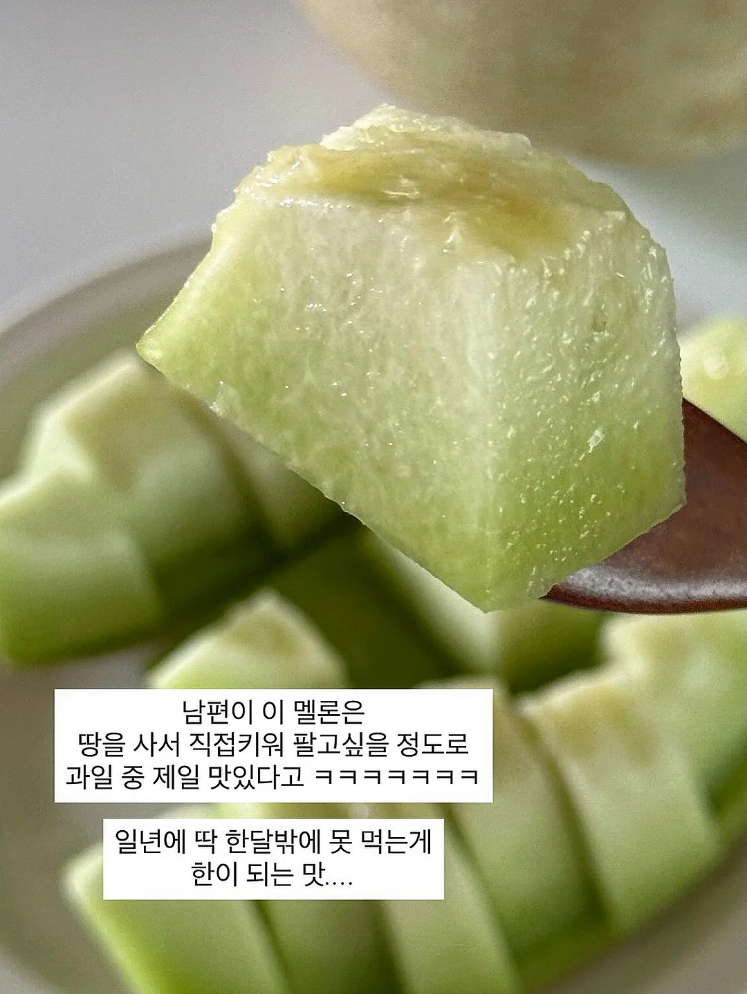 개기름 파우더 12