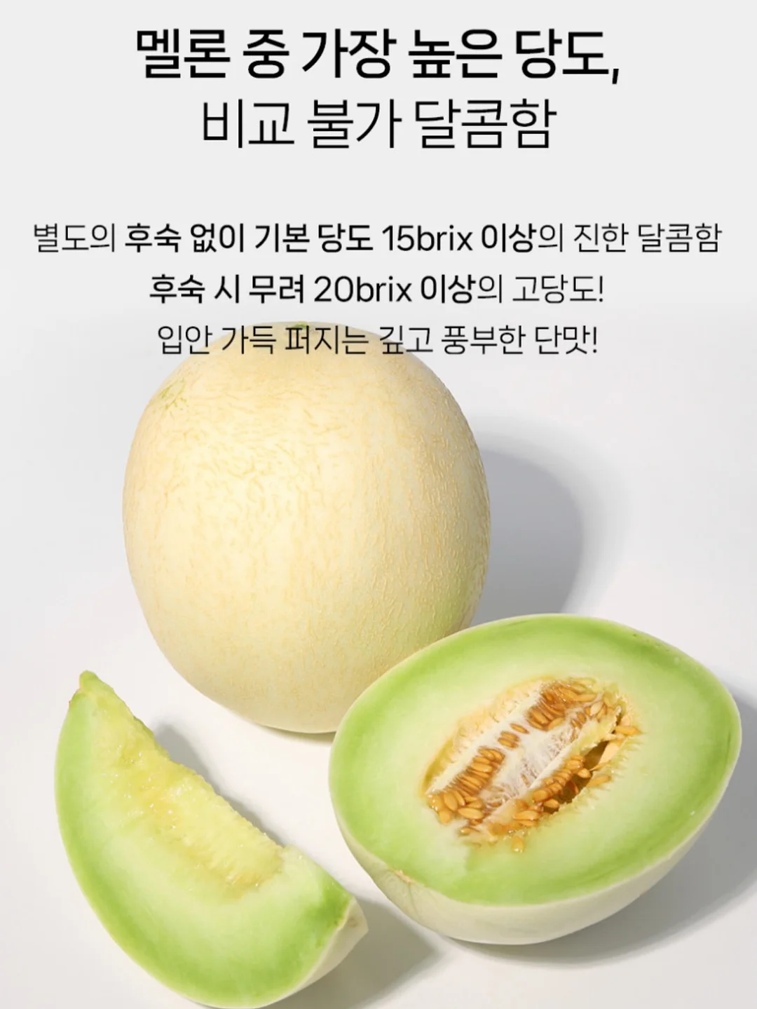 개기름 파우더 17