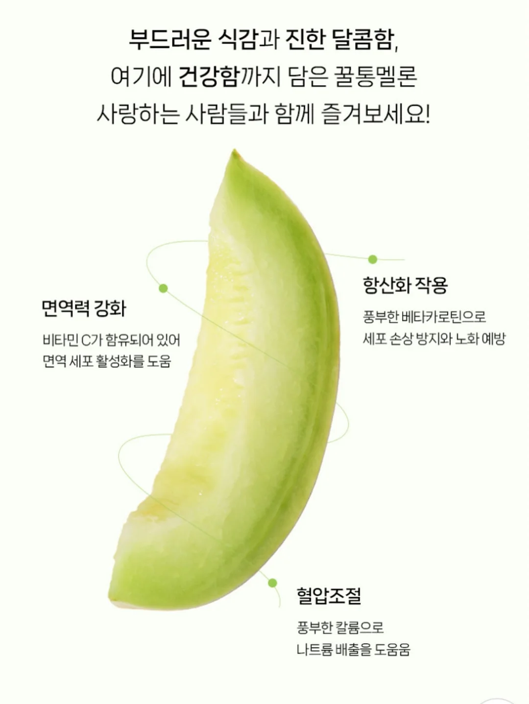 개기름 파우더 18