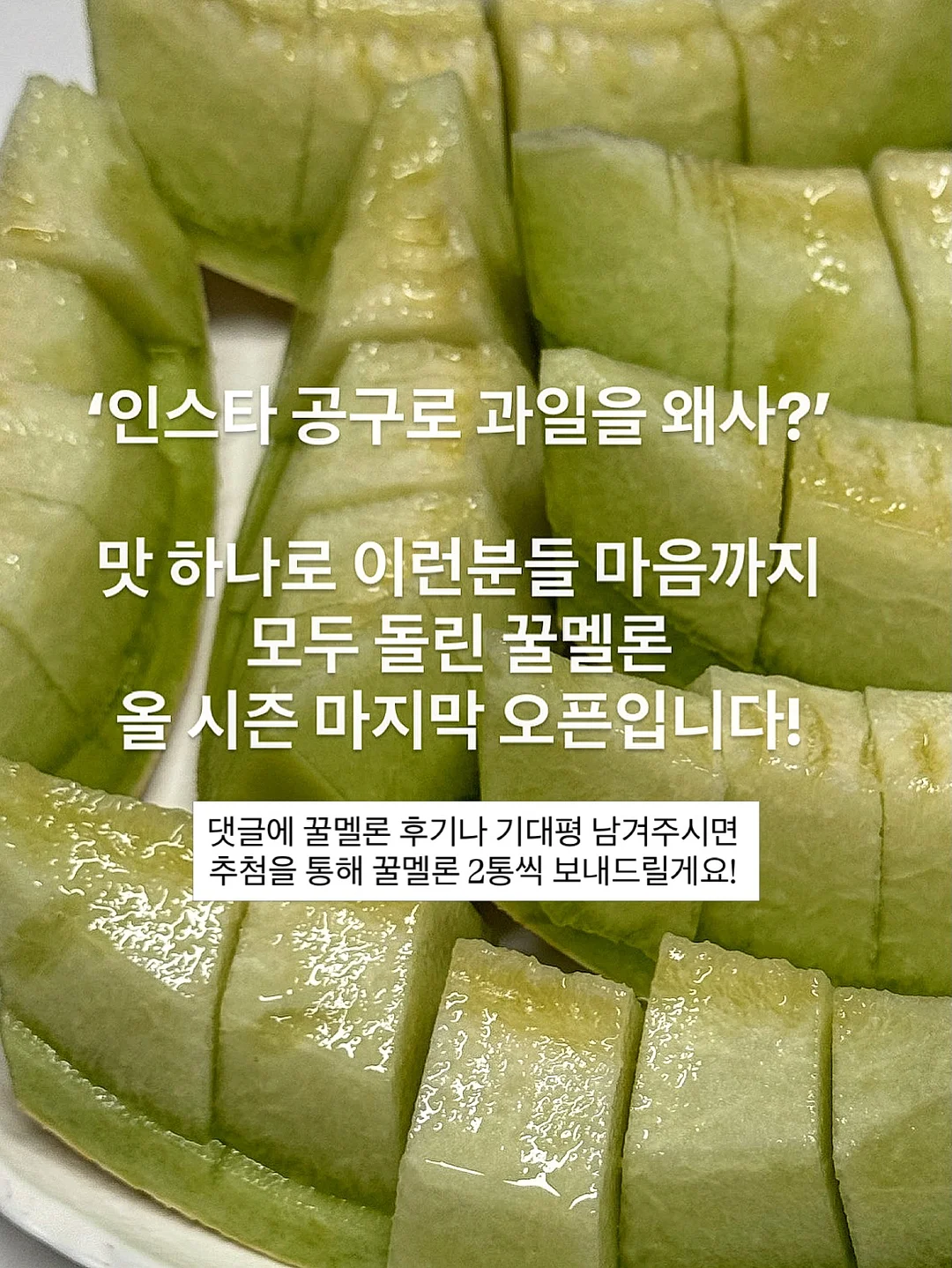 개기름 파우더 2