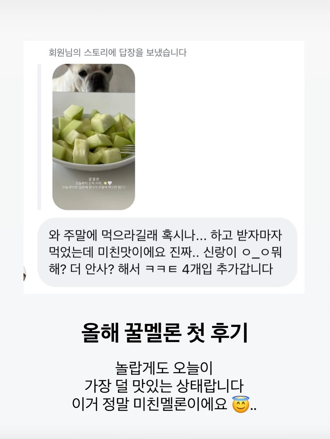 개기름 파우더 3