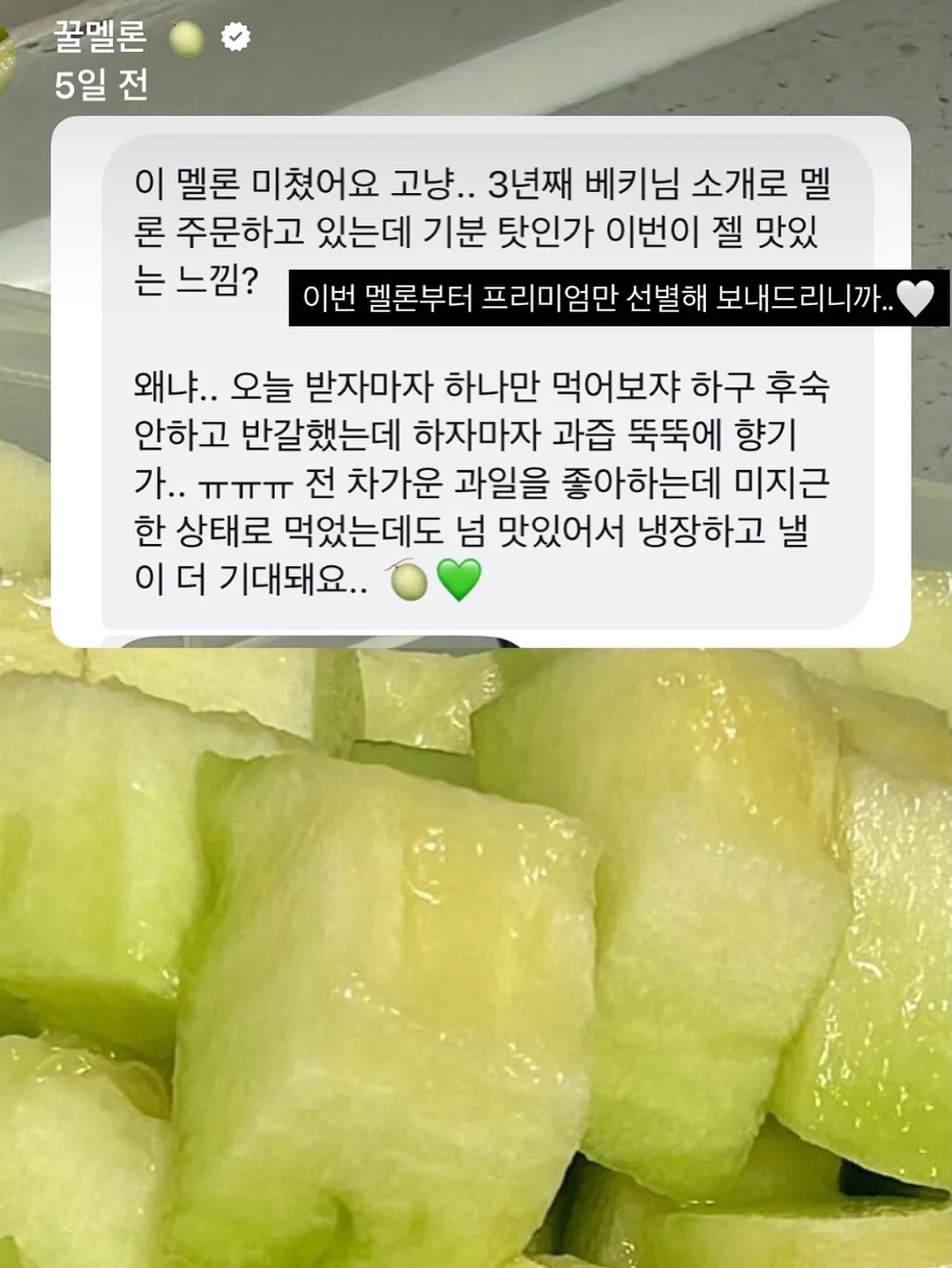 개기름 파우더 5