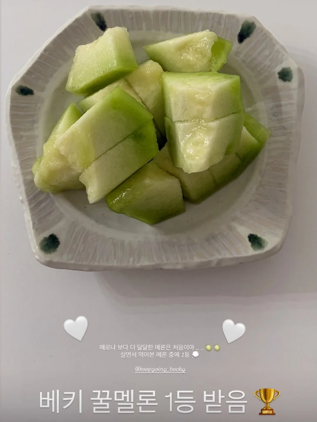 개기름 파우더 8