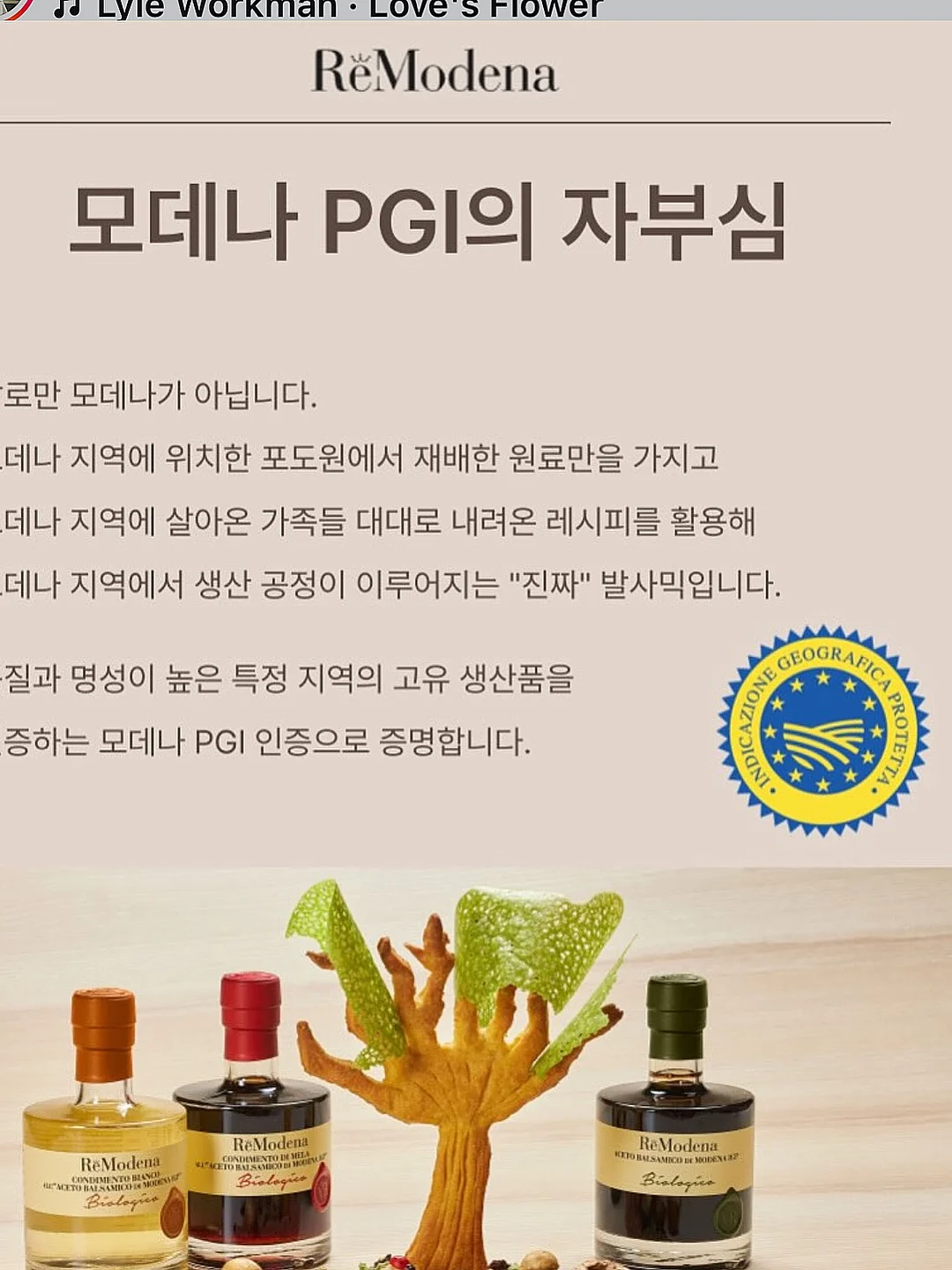 하나카드 JADE Classic 9