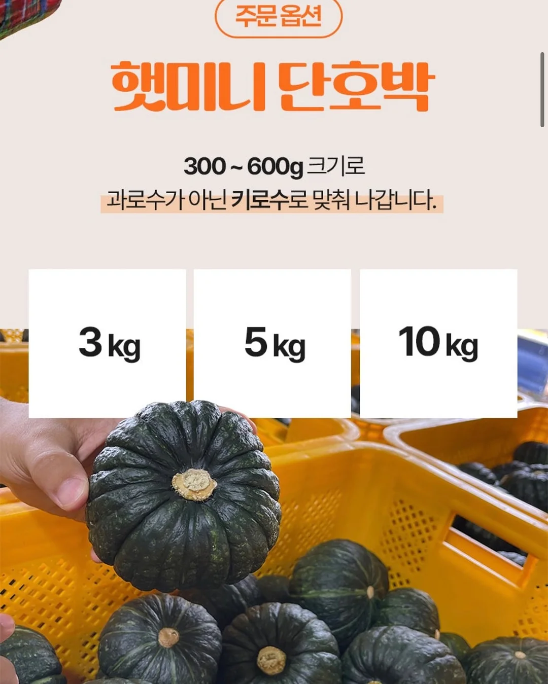 루나 프로 포토 피니셔 기획세트 8