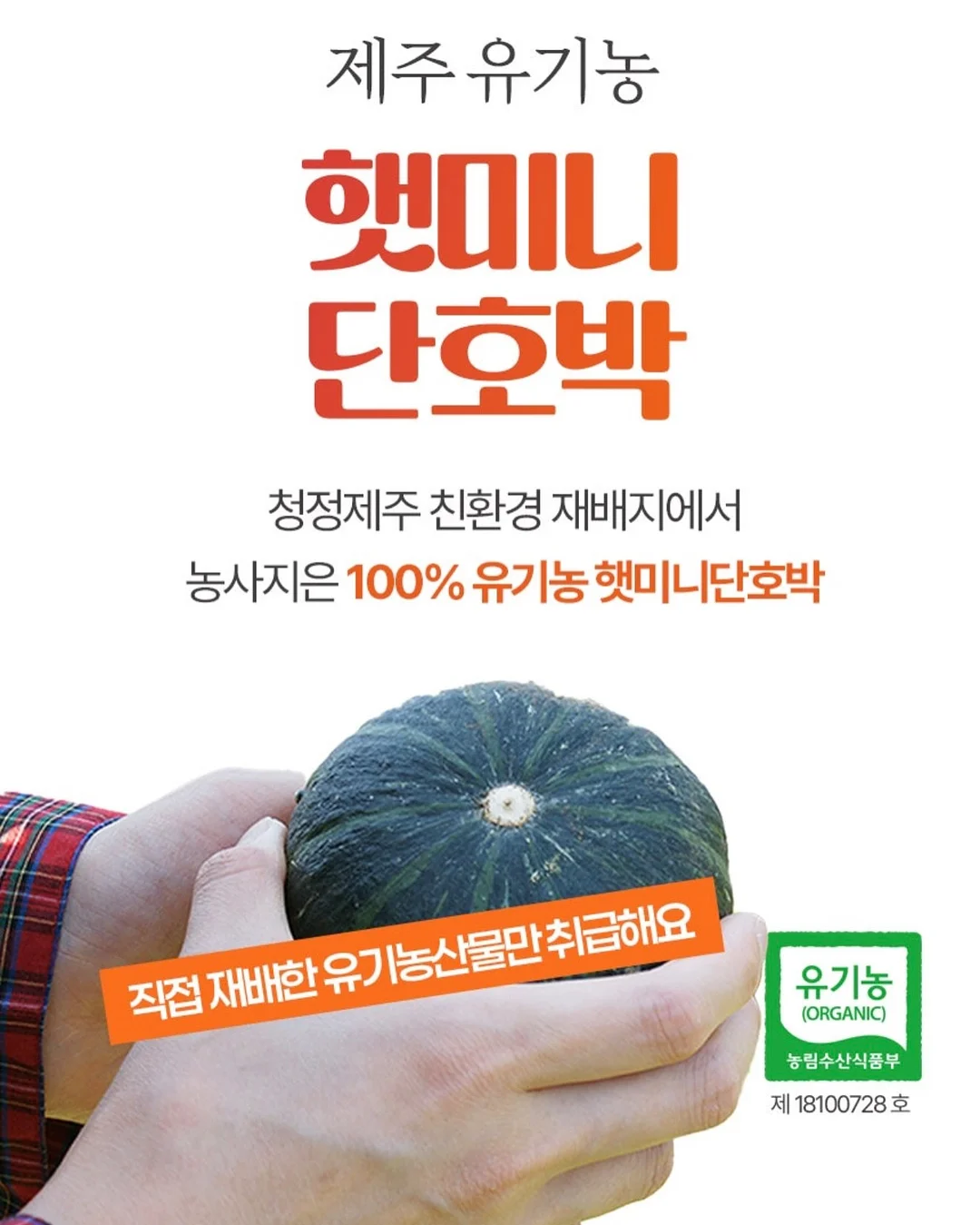 루나 프로 포토 피니셔 기획세트 10