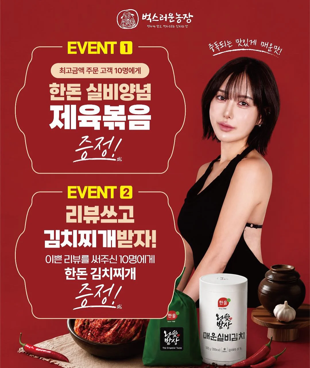 다이슨 에어랩 호환 라지 볼륨 브러쉬 3