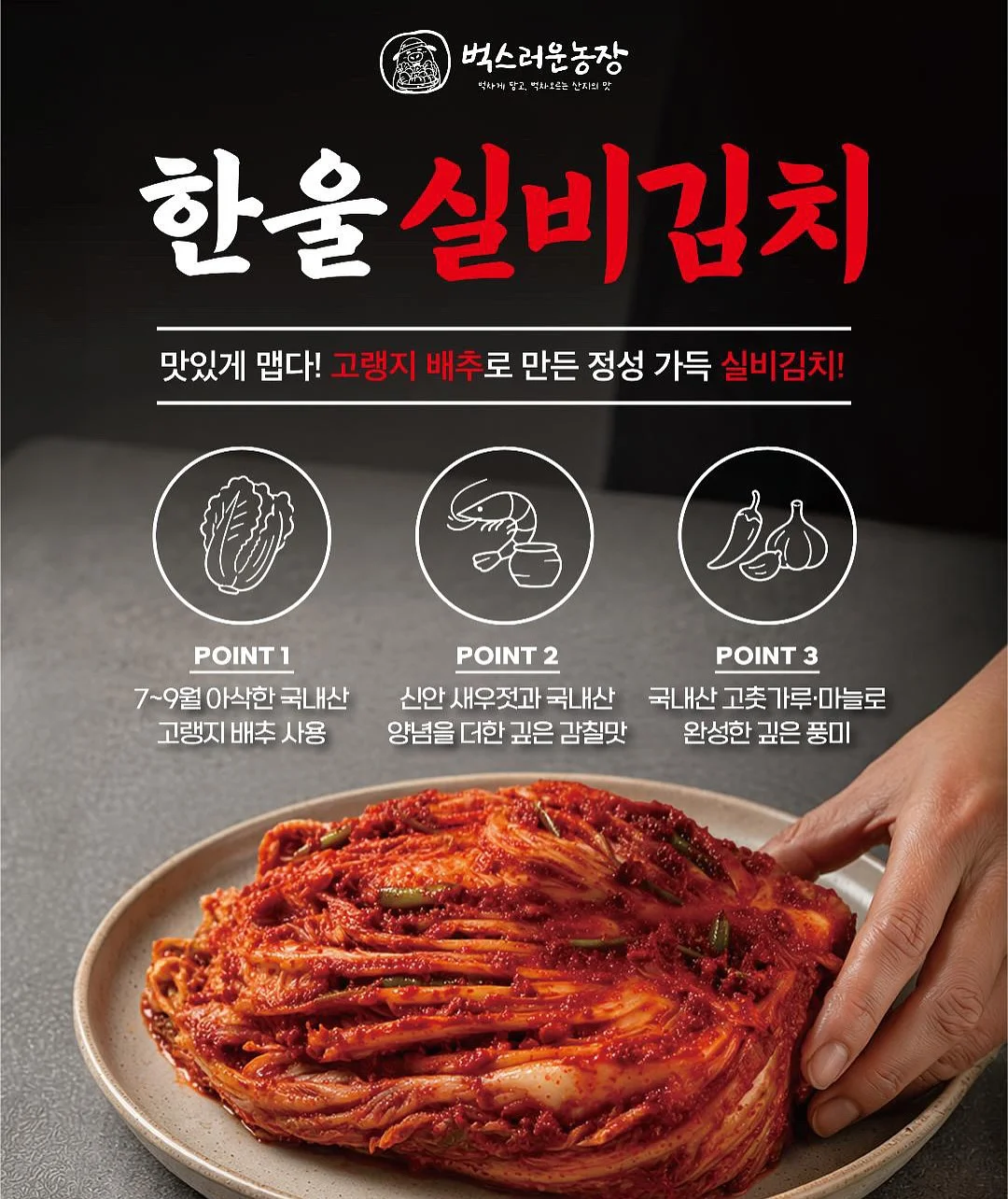 다이슨 에어랩 호환 라지 볼륨 브러쉬 4