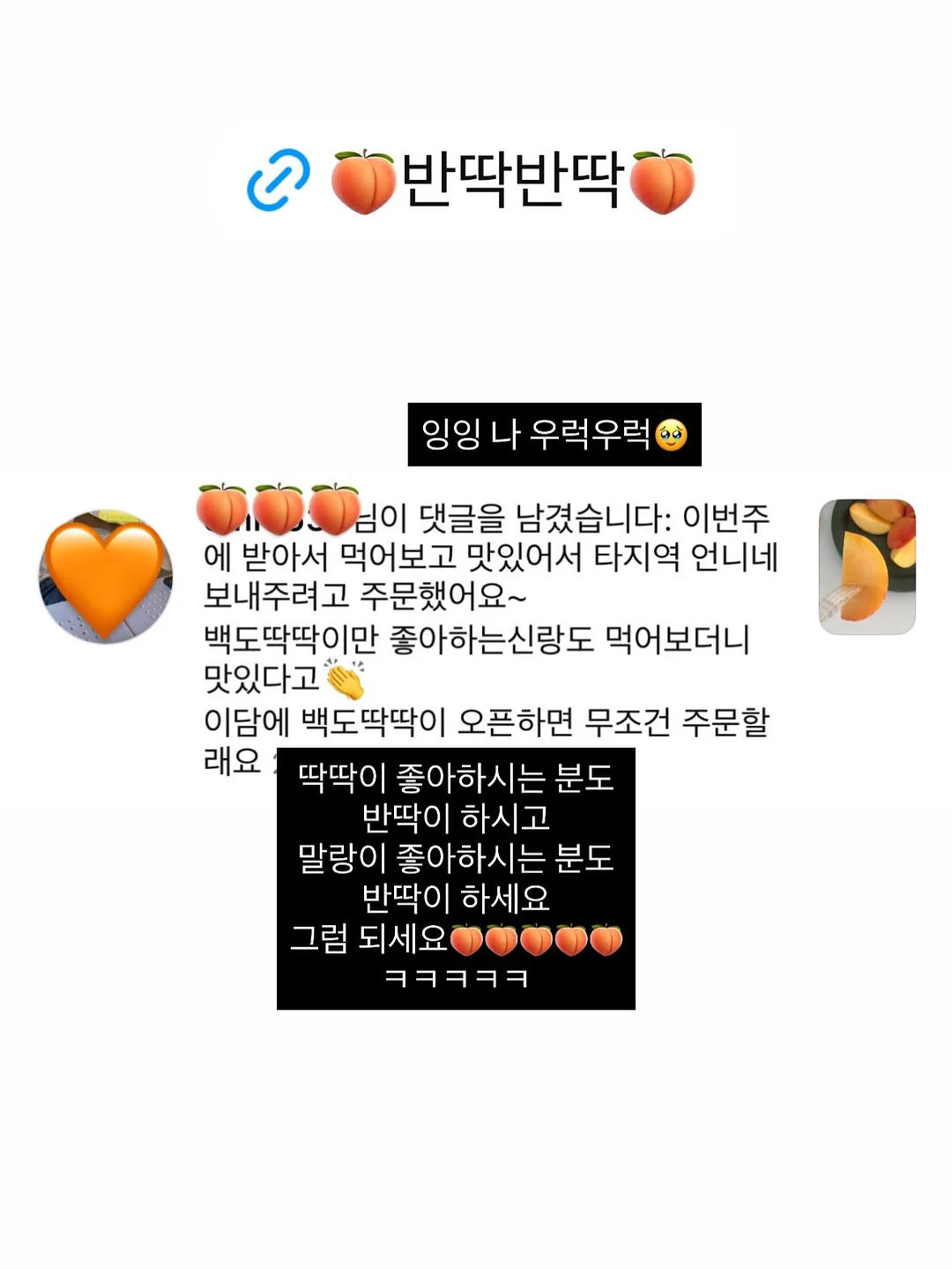 엠버래쉬 핀셋 세척액 2