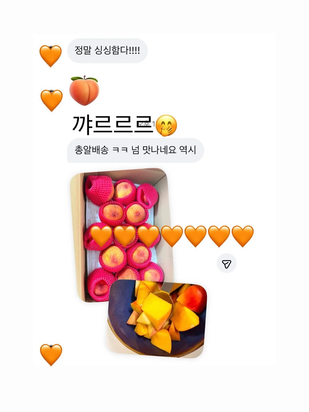엠버래쉬 핀셋 세척액 3