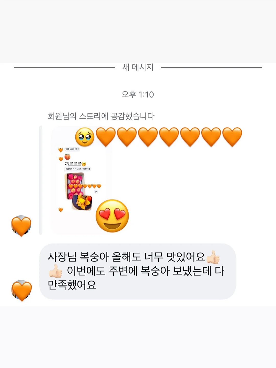 엠버래쉬 핀셋 세척액 4