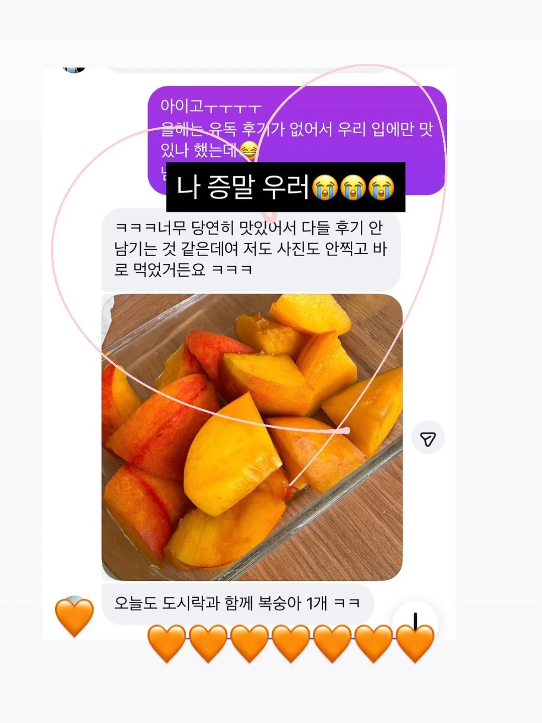 엠버래쉬 핀셋 세척액 5