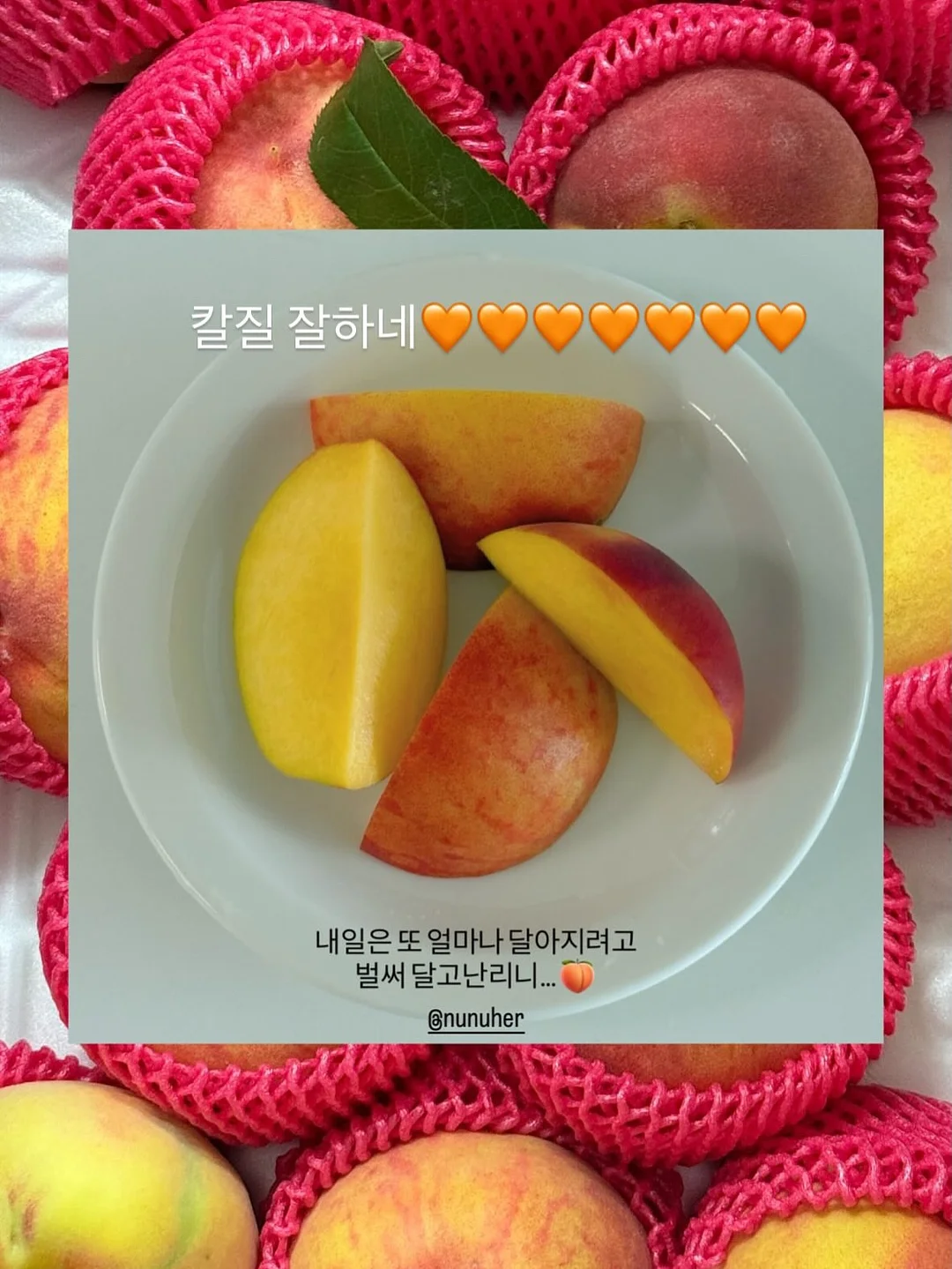 엠버래쉬 핀셋 세척액 6