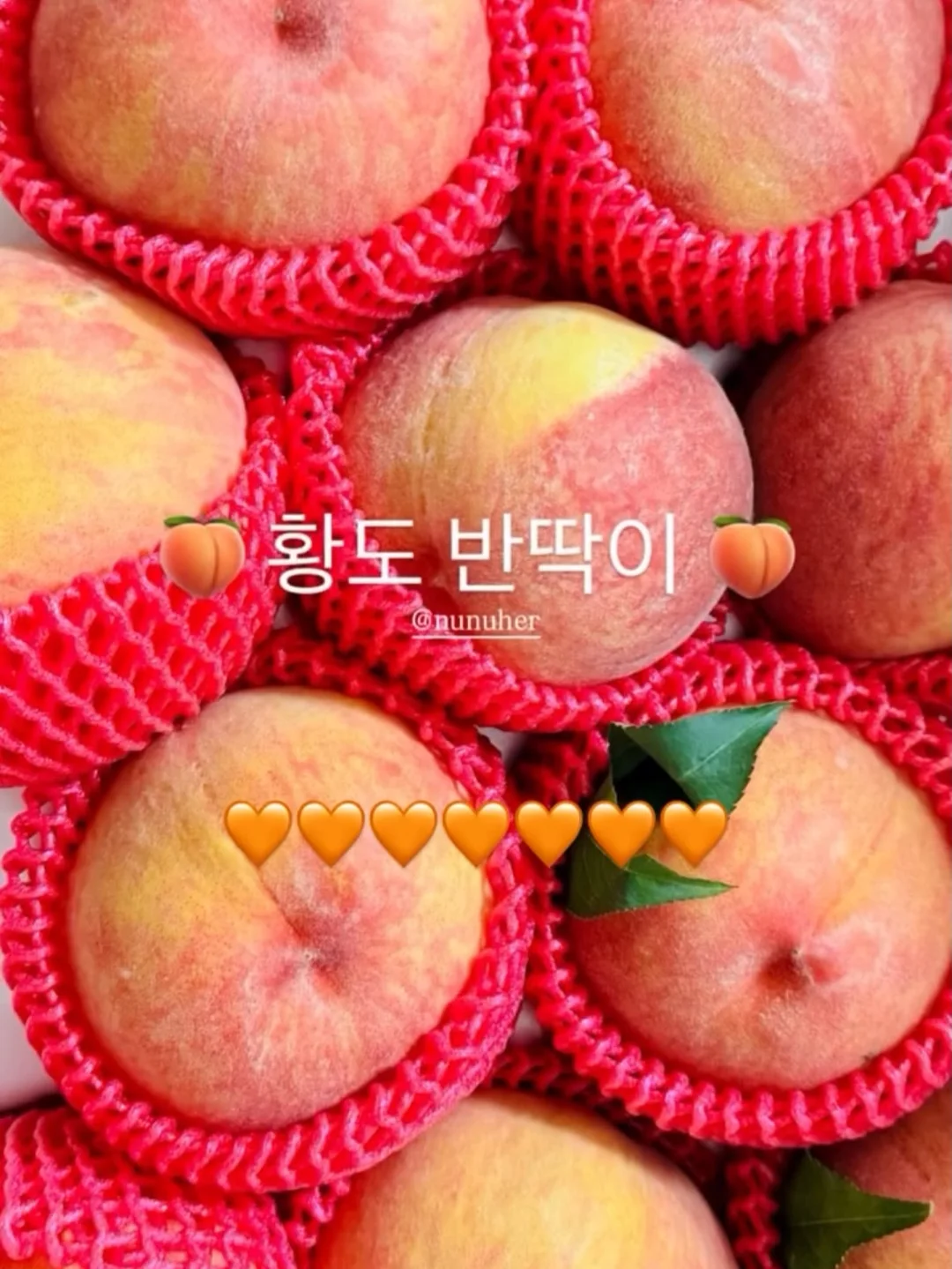 엠버래쉬 핀셋 세척액 7