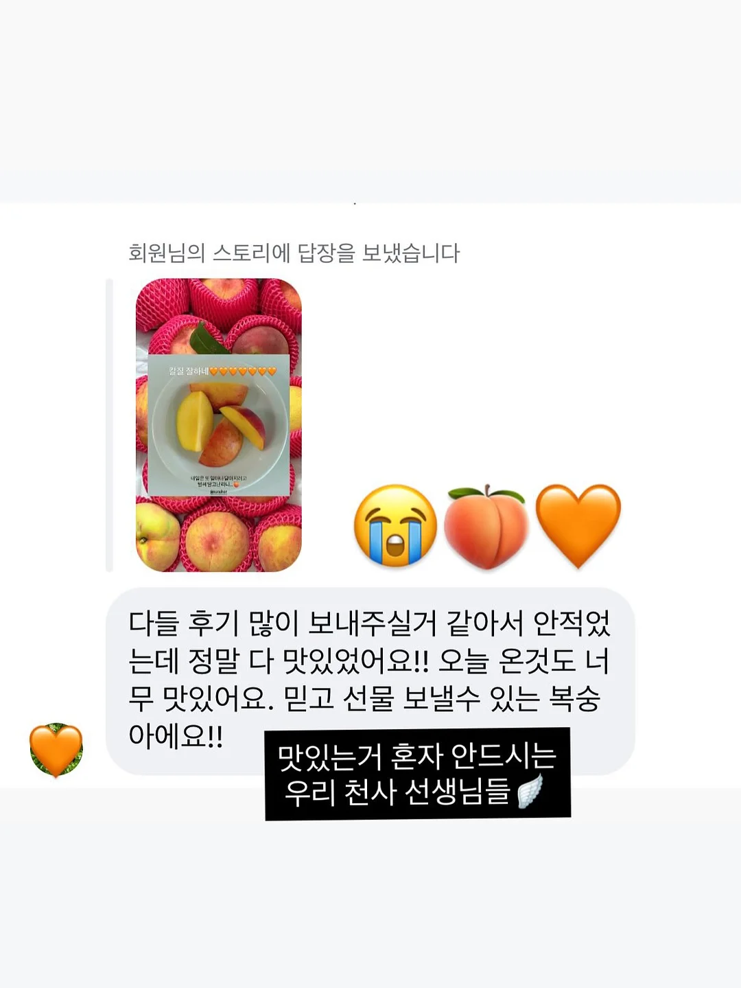 엠버래쉬 핀셋 세척액 8