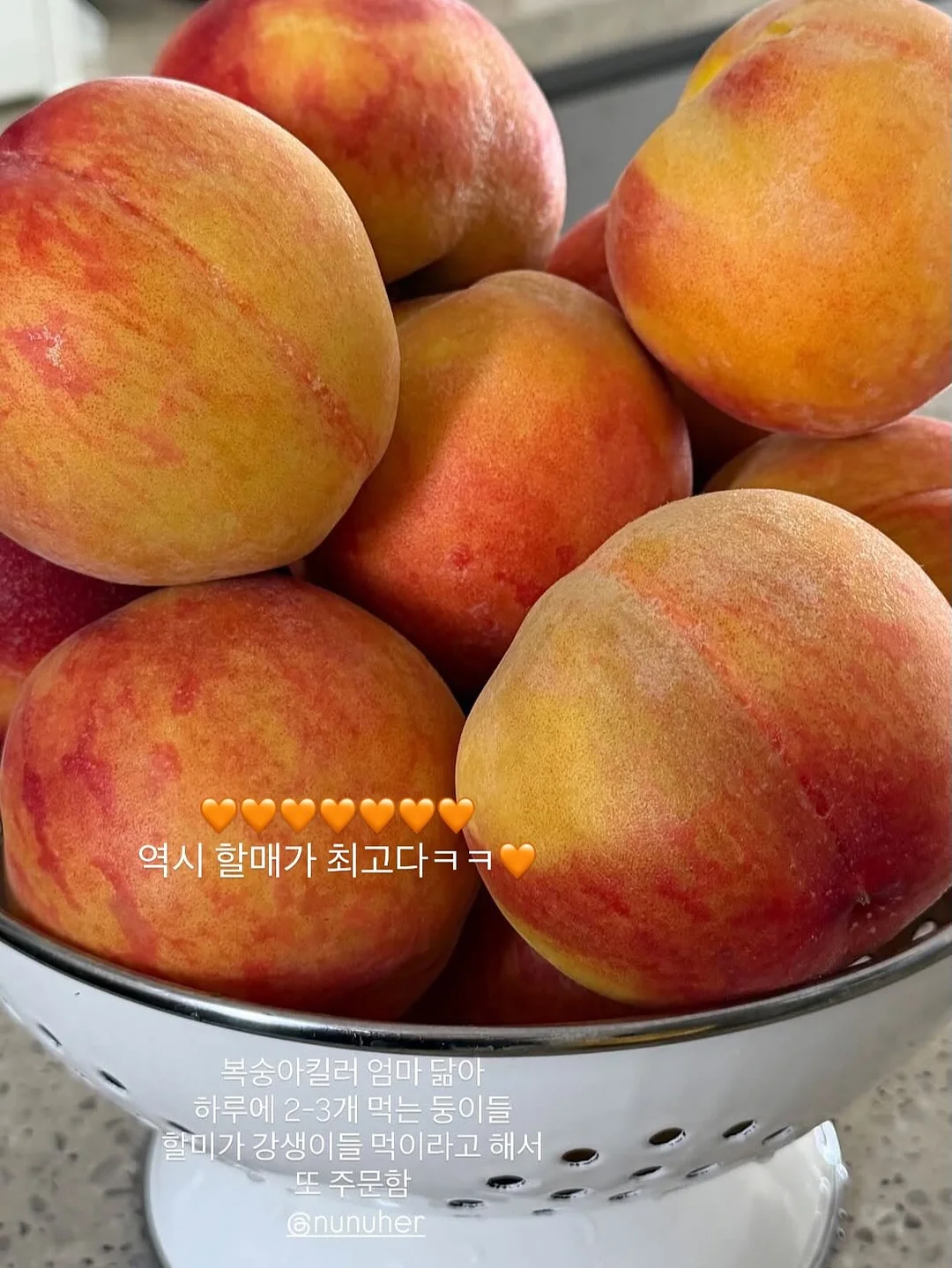 엠버래쉬 핀셋 세척액 10