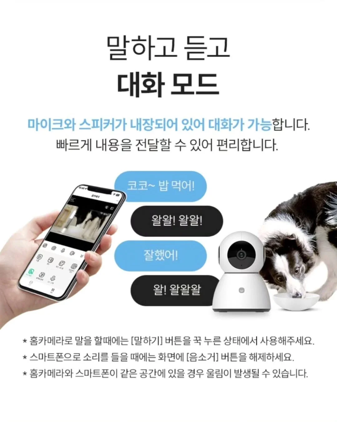 생화케이크 11