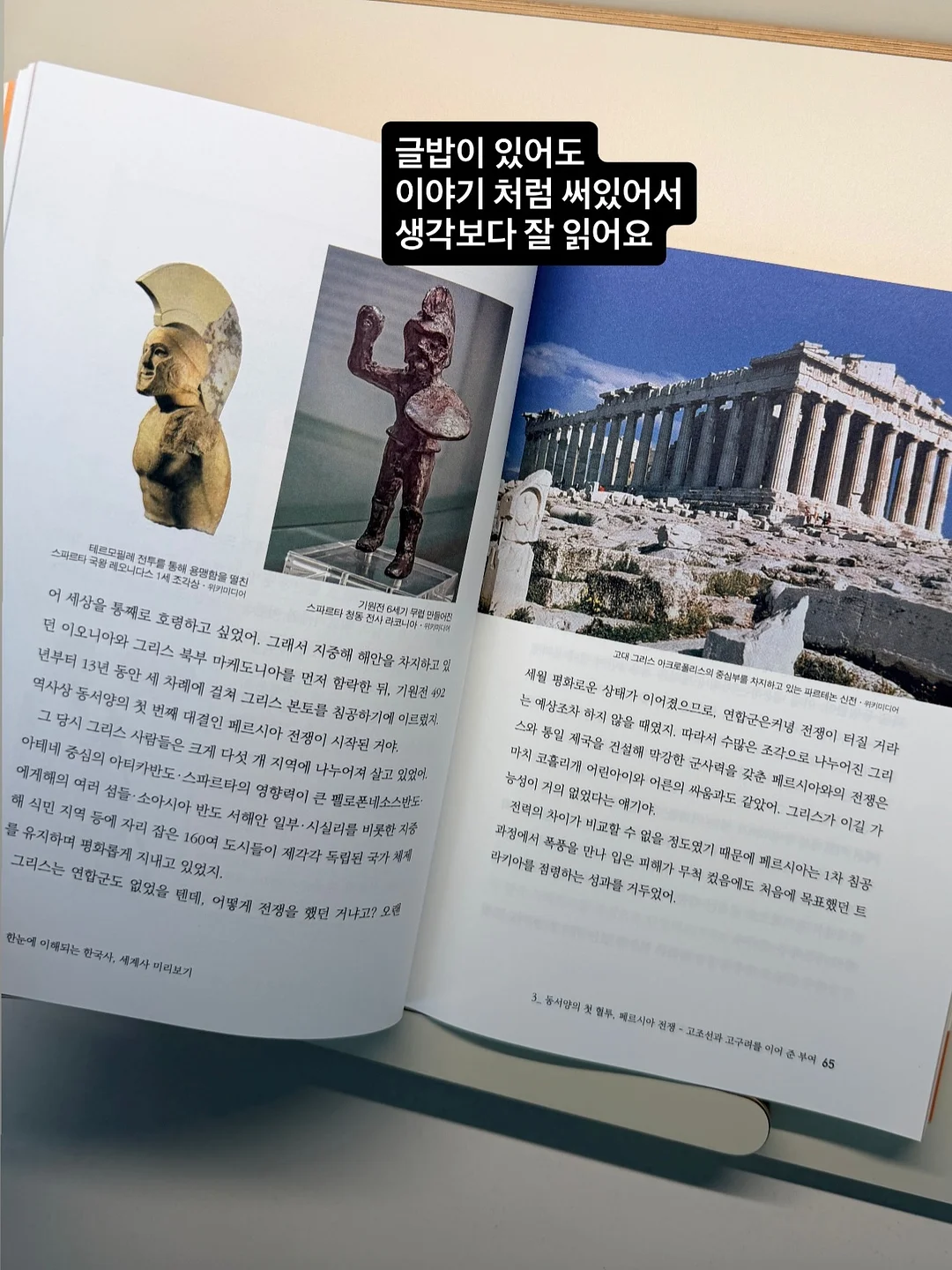다목적세정제 키친 클리너 12