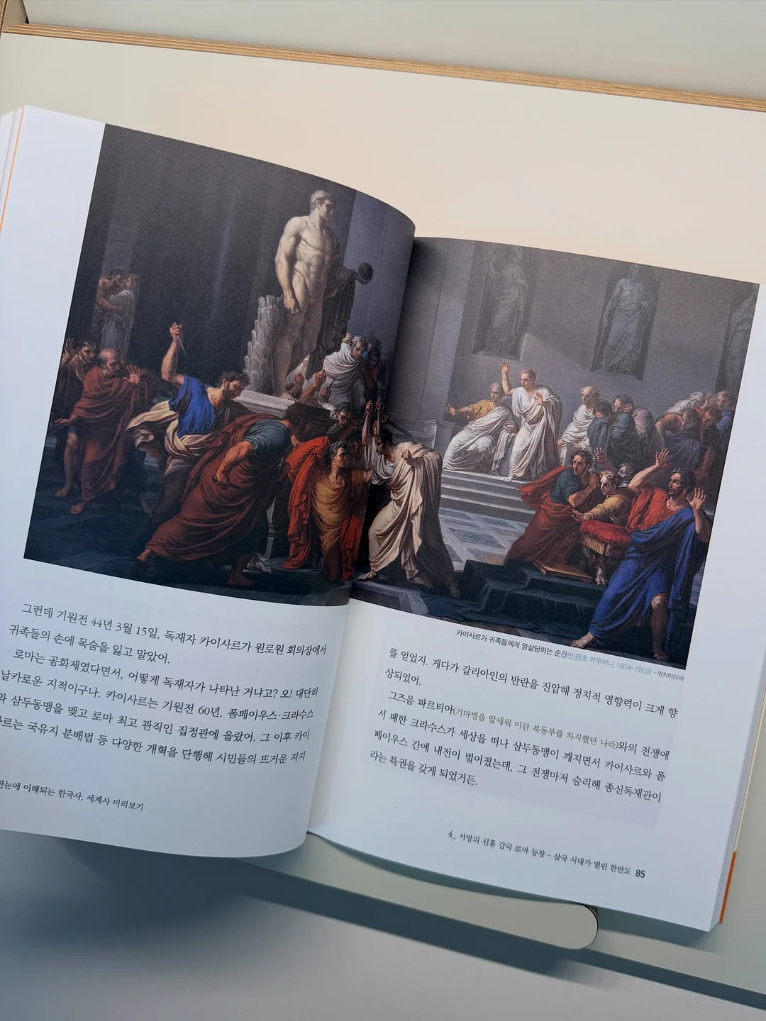 다목적세정제 키친 클리너 15