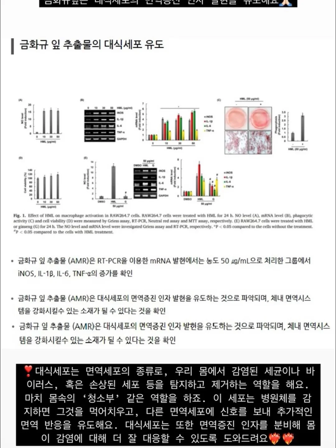 햇감자 샐러드 샌드위치 12