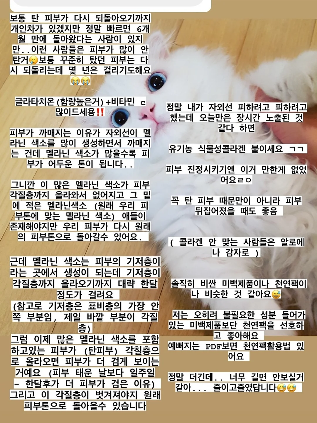 햇감자 샐러드 샌드위치 4