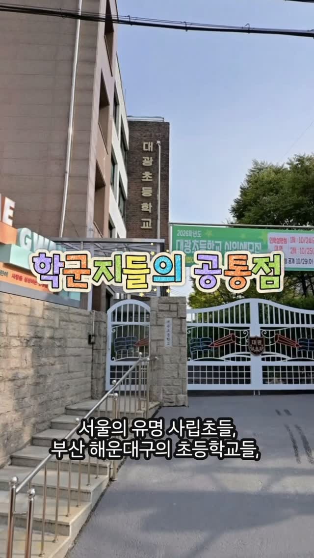 화이트타이거패럿 시클리드