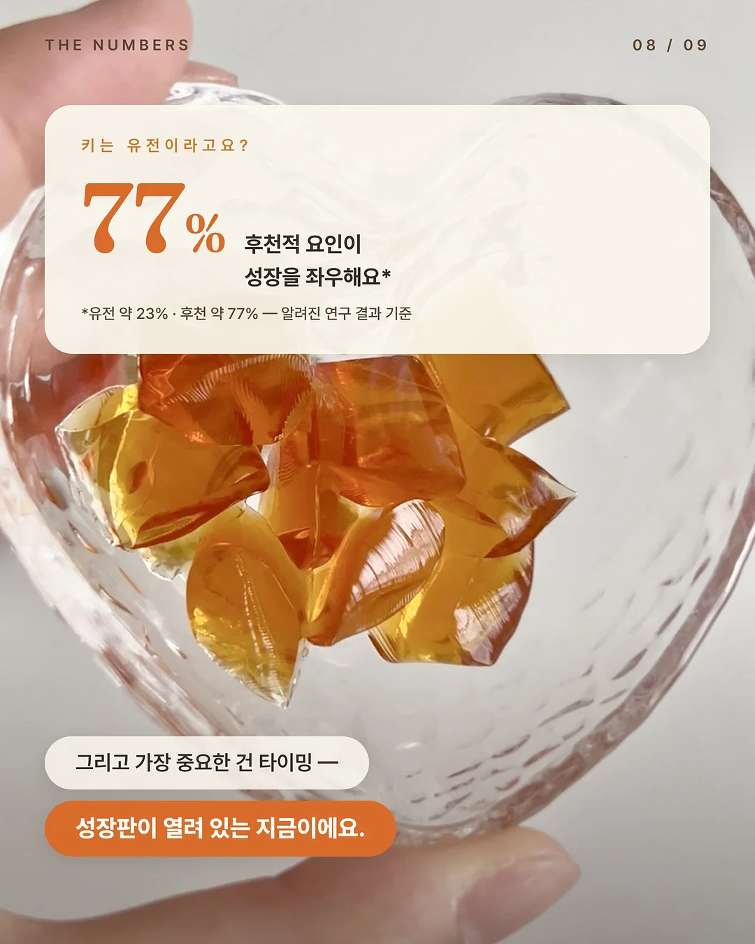 2080 일사오공 치약 9