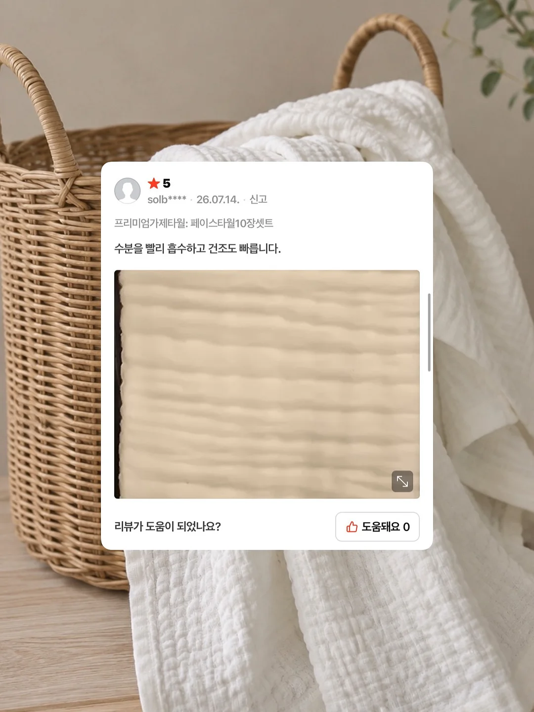 셋업 5