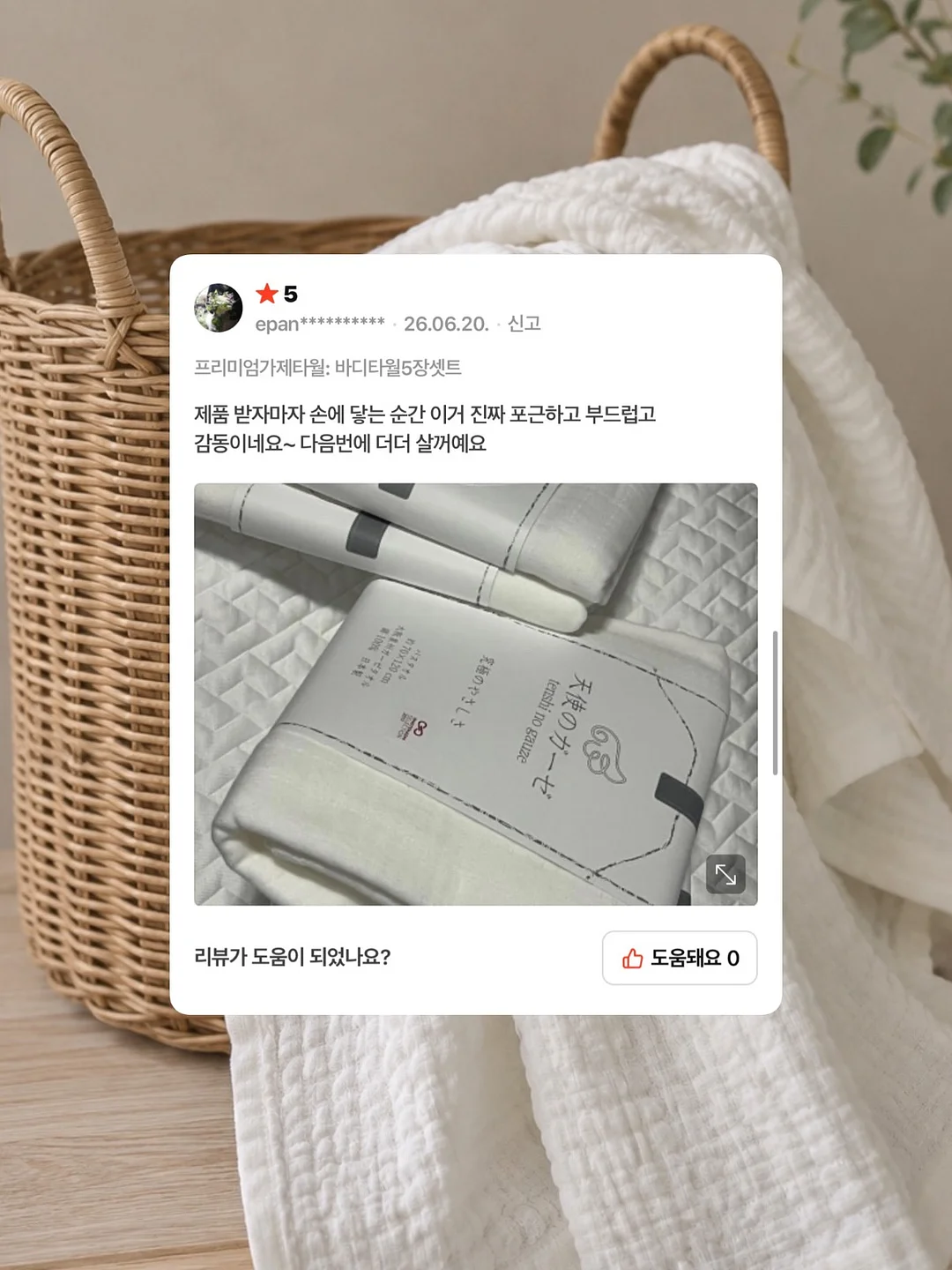 셋업 6