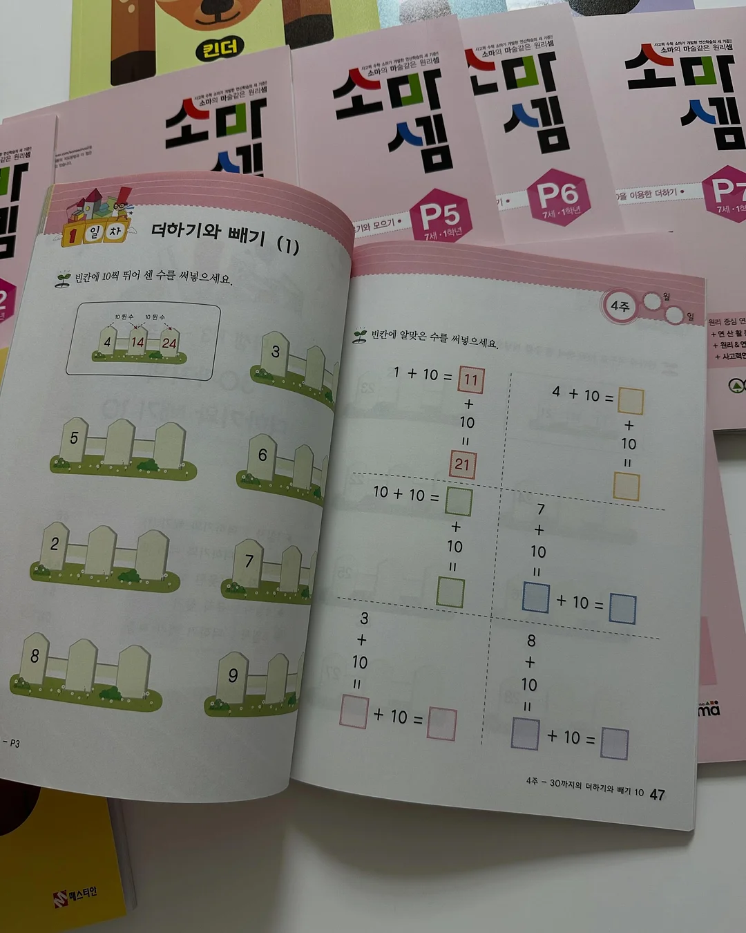 리안 드림콧 5