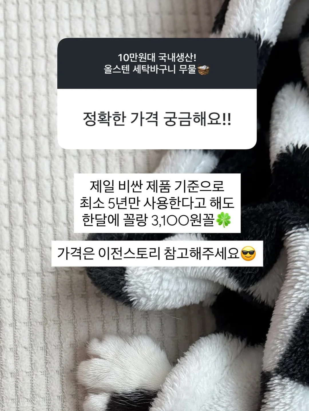 사계절 4인가족 텐트 5