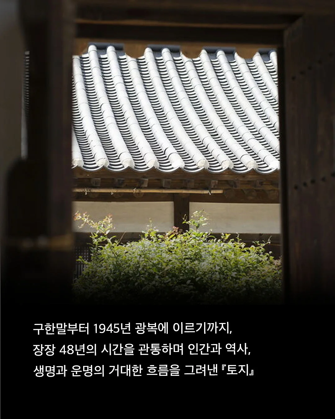 고관절 활성화와 강화 교육 6