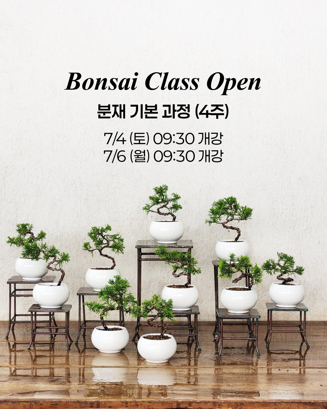 힐리드래곤 1