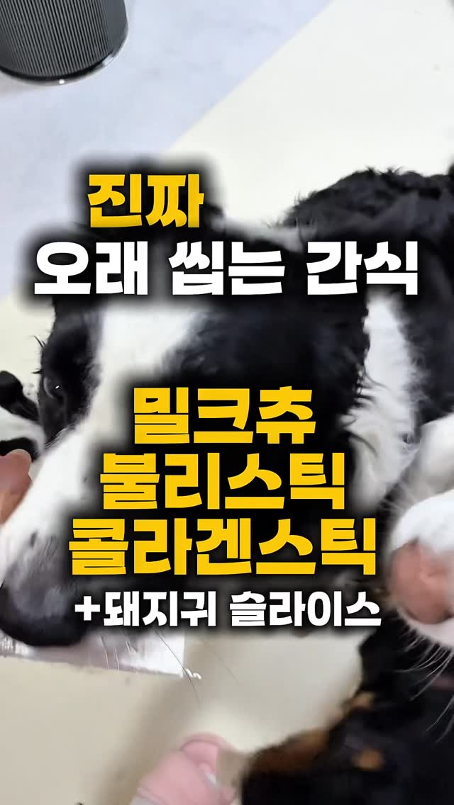 캔디팝백팩