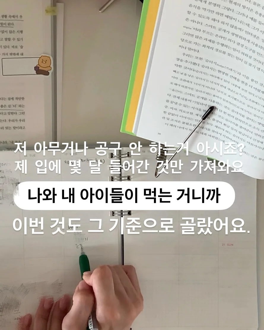 수지눈썹 2