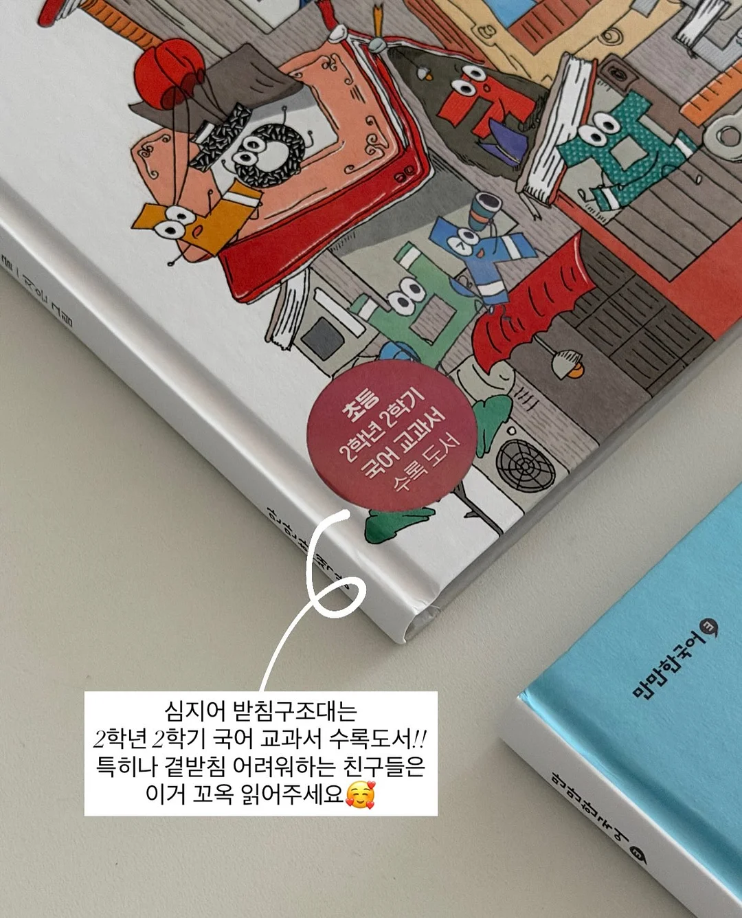 개미키우기 키트 13