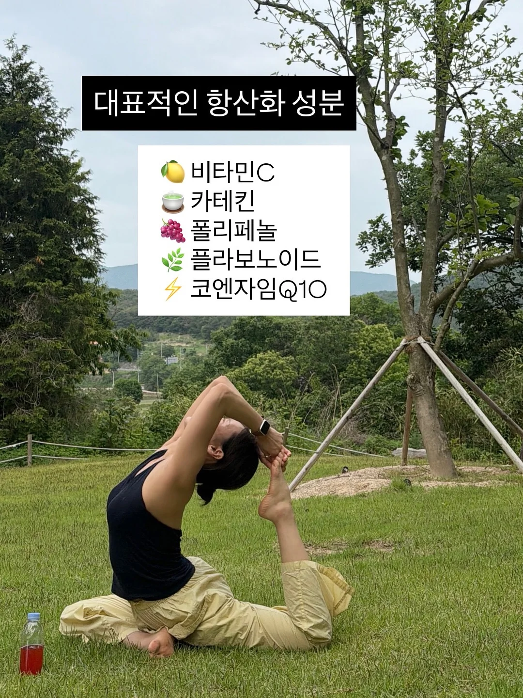 거꾸로 스텐 양치컵 12