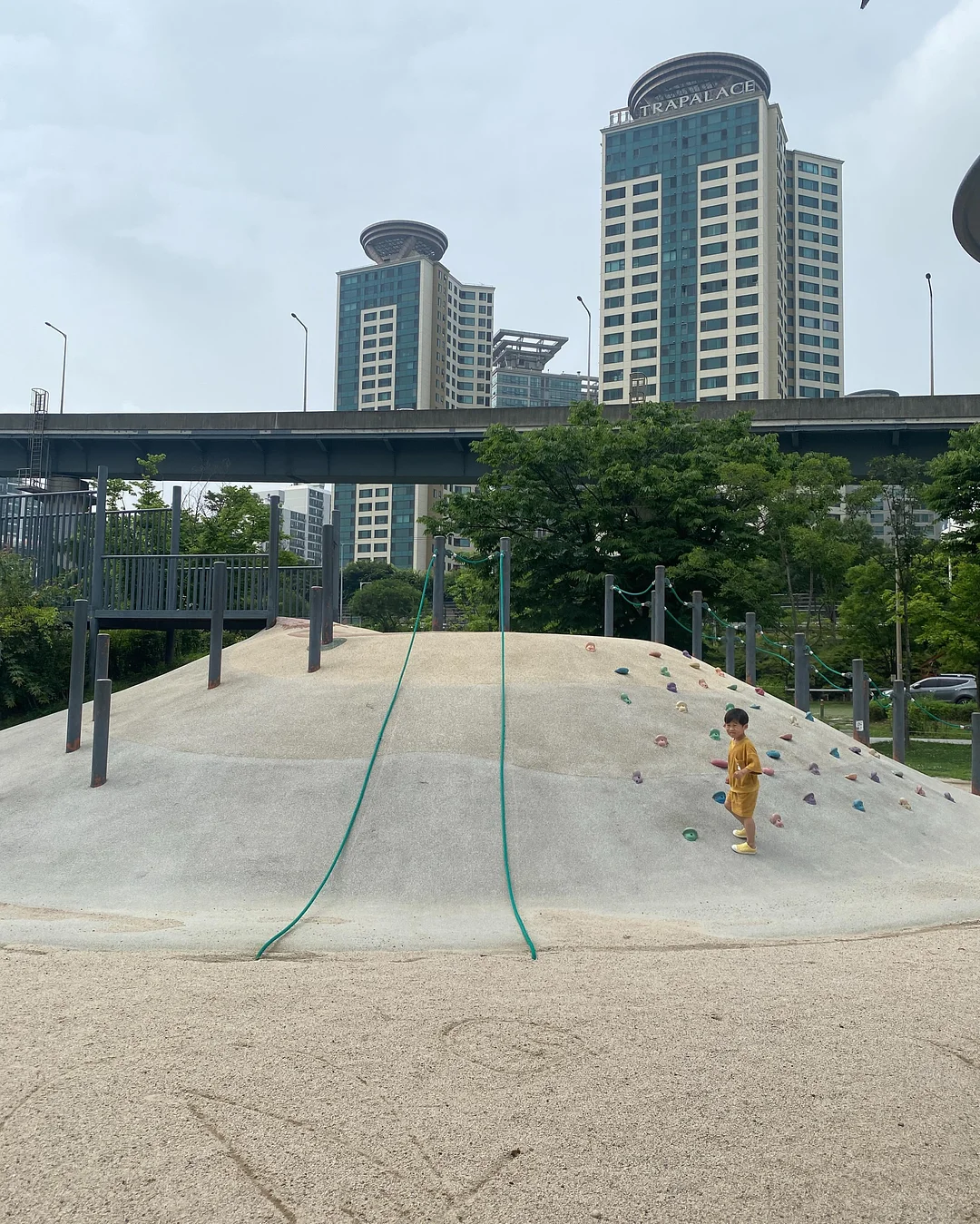 스터메이트 자동 조리기 9
