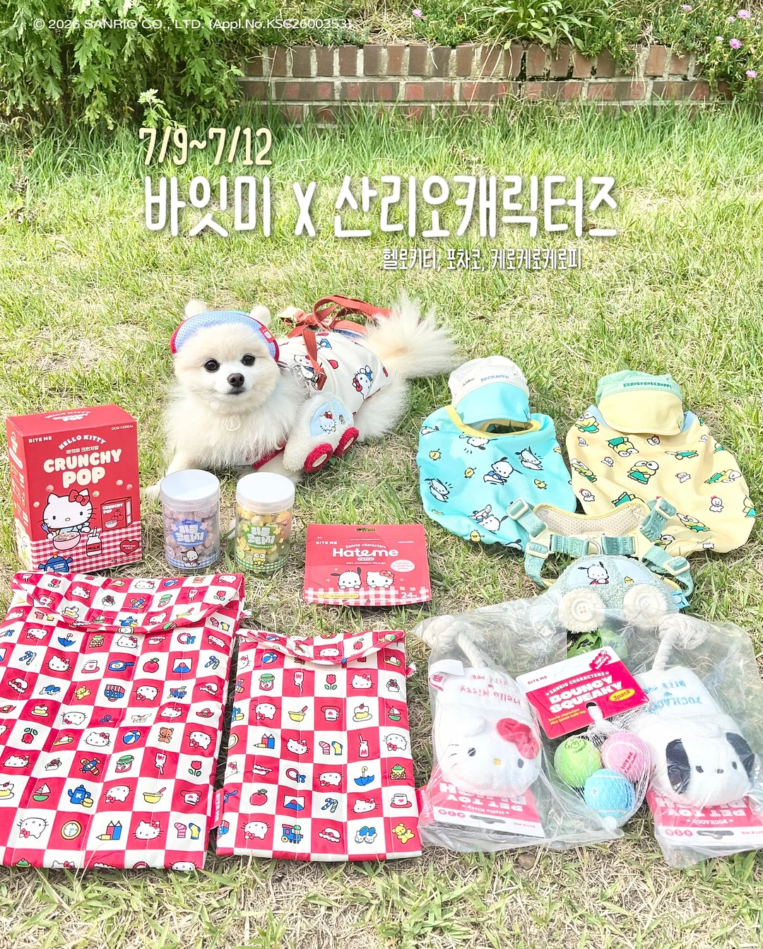 디다톡 1