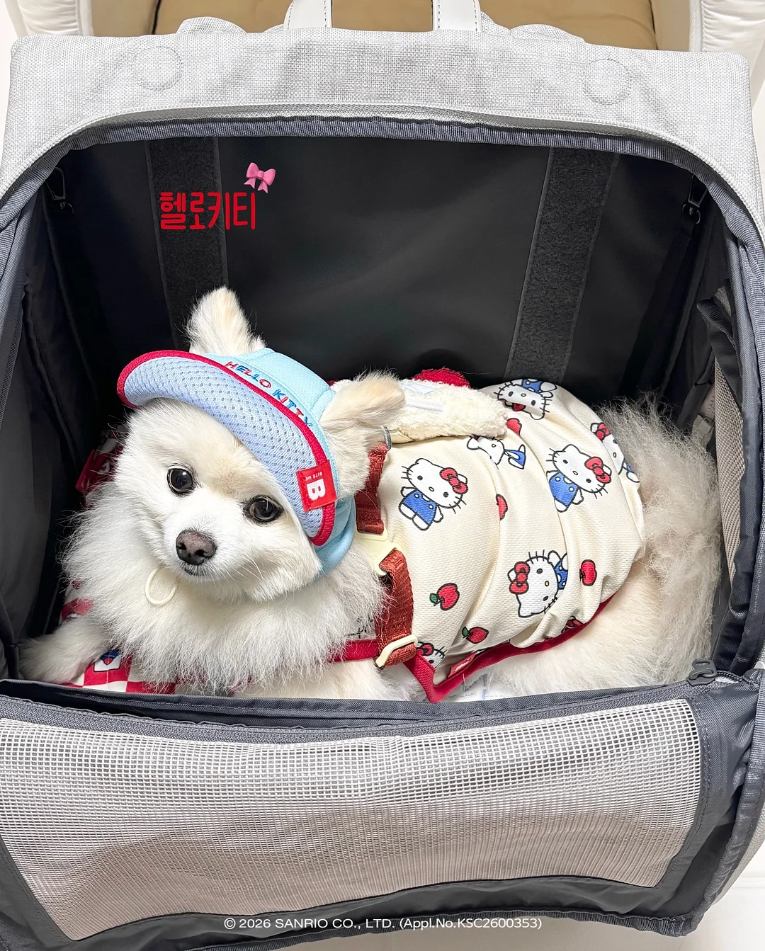 디다톡 2