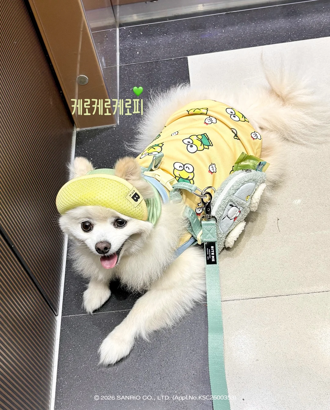 디다톡 3