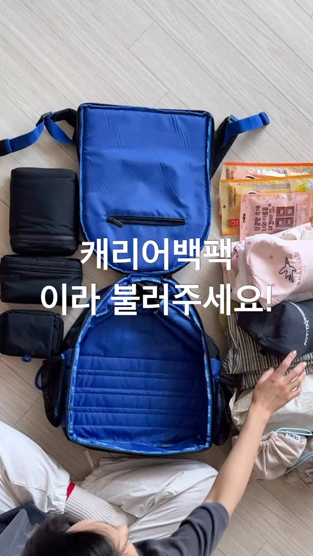 TIGER 반도체 TOP10