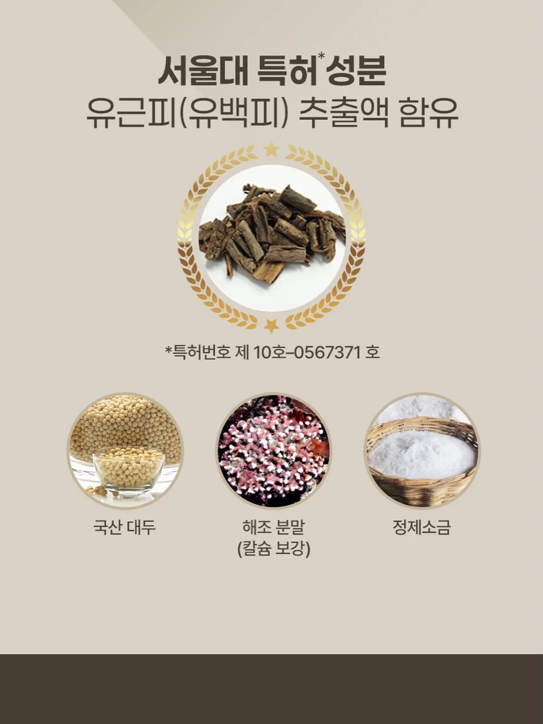 파흐탱 아델백 13