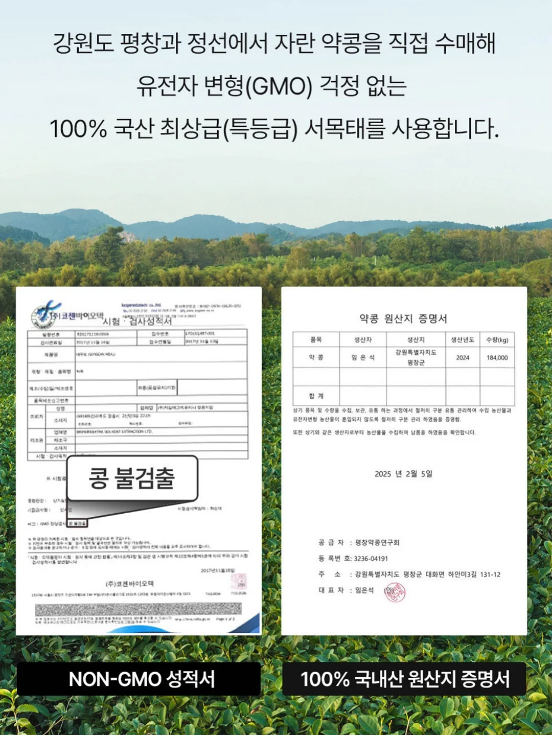 파흐탱 아델백 16