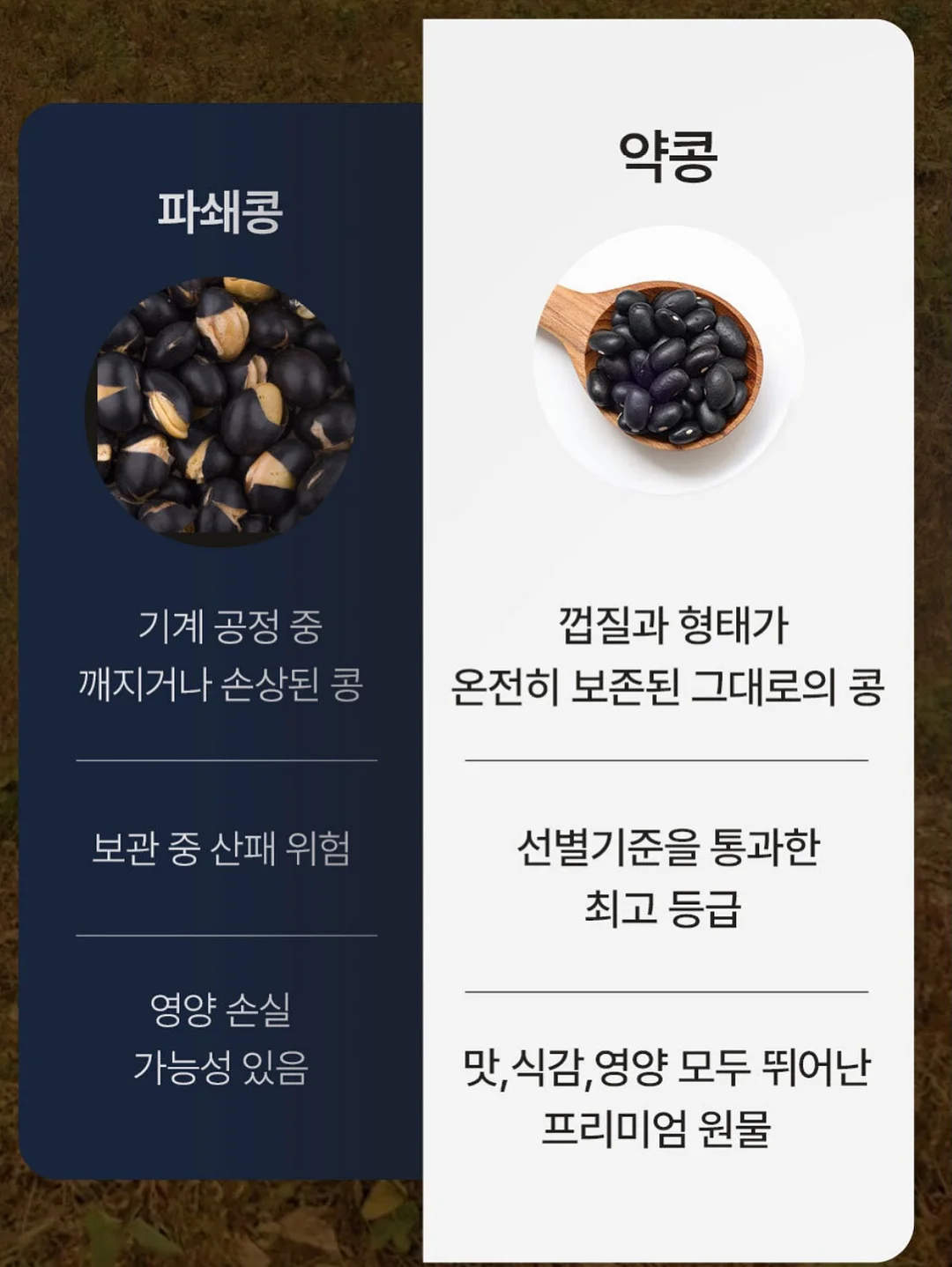 파흐탱 아델백 18